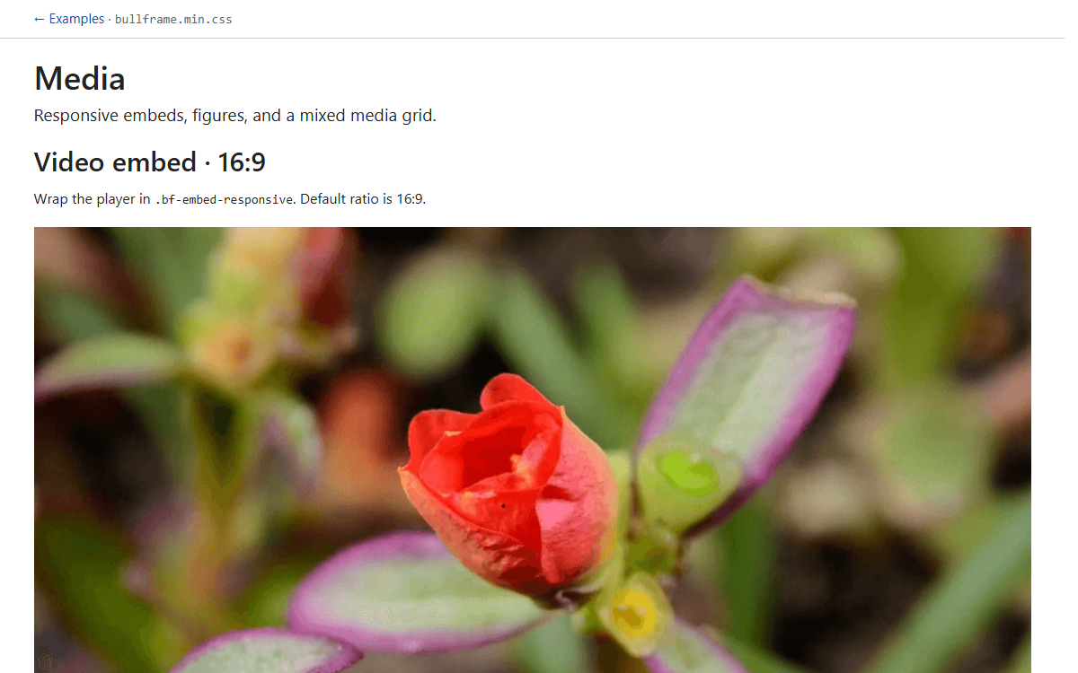 Media example preview